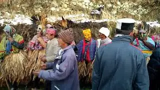 Deotha Phagli 2018
