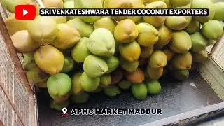 Tender coconut wholesalers APMC market maddur.
