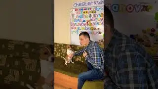 Тренировка в игровом процессе / Часть 3 #dog #dogs #pets