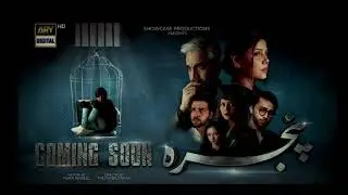 Pinjra OST | Hadiqa Kiani | Aashir Wajahat | ARY Digital