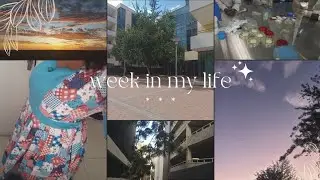 *productive* week| running errands💌 | independence day| lots of studying 📖
