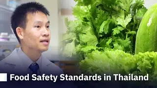 Food Safety Standards in Thailand | Research Impact