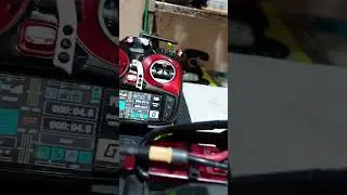 Remote ESC arming and bank/setup indicator.