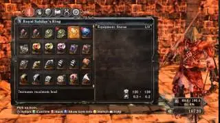 Dark Souls 2 Vizard Build.