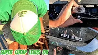 How to Fix Loose Rear Bumper Sensors on 2019-21 Lexus ES350 I DIY
