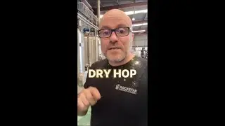 Your dry hop is destroying your beerand you dont even know it. #shorts