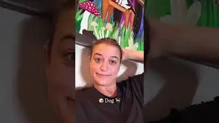 🐶 Spirit Animals 🐕 
