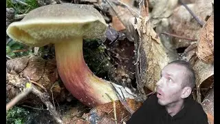 Houbaříme 27.9.2025