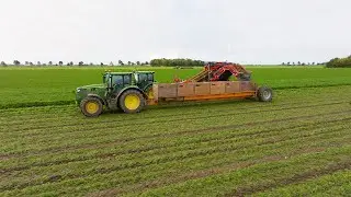 Oogst, grondbewerking en bewaren // Wordt er wat verdient? // Najaar bij Van Liere Landbouw