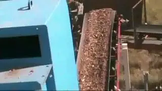 WASTEGO WOODCHIPS - Vertical Grinder & Disc Screen