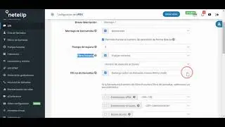 C&oacute;mo configurar la Centralita Virtual utilizando IVR | netelip