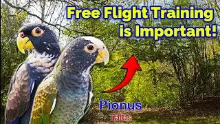 Our First Free Fly 2025