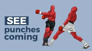 How to Get Faster Reflexes for Fighting Watch This!