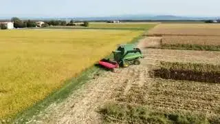 Trebbiatura mais fossalon 2020 parte 1