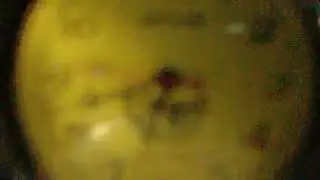 Tetavi bagi yg suka ngoleksi barang Atik mah ok.masih kamekah naek kapal cenah bukan pesawat. buset
