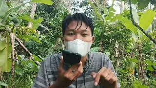 C3WEK PR4MUKA VIRAL DI TIKTOK!!
