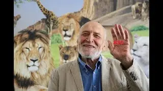Спец.отряд FAST #50. Zoo on ABC.