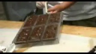 California Heartland &mdash; Yummy Dummy Chocolate