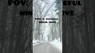 POV: A peaceful winter drive through London, Ontario #shorts #travel #snow
