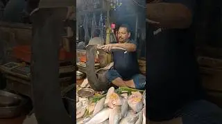 🔥😱 Popular 2 Kg Hilsa (Ilish) Fish Cutting By Expert Cutter #shorts #fishcutting #hilsa