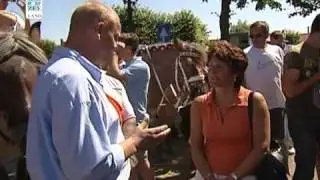 Rienkriee mee de Sterren: Het vervolg met Marga Vermue
