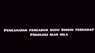 Pengamatan Bukaan Operculum Serta Fisiologi Pada Ikan Nila Dengan Perlakuan Suhu Panas Dan Dingin