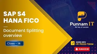 SAP S4 HANA FICO CLASS 14 || SAP S4 HANA Document Splitting