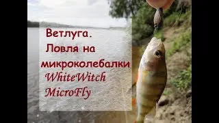 Ловля на микроколебалки WhiteWitch MicroFly