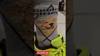 golden retriever socks Sport