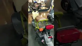 2024 Honda Ruckus at Bert&rsquo;s Mega Mall #honda #motorcycle