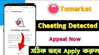 Tomarket Cheating detected problem || Tomarket Form Submit || Tomarket Appeal Now😭