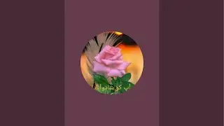 Hafiz Asif Ali official  is live!Daily Live Quran Recitation | Relaxing Voice | Join Now
