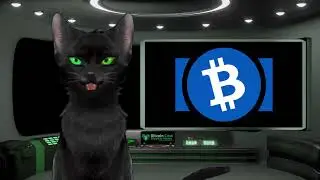 BitcoinCash Weekly News March 18th 2024 by the Bitcoin Cash Foundation