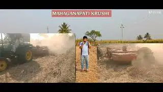 Sugarcane ratoon cultivation. Sugarcane Trash - Organic fertilizer. Sugarcane Trash management.