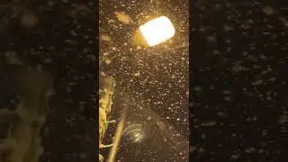 #snow #time #snowman #snowfall #travel #tranding #winter #motivation #atp  #song