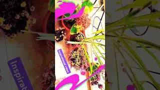 @Inspirational video              #shorts #youtube