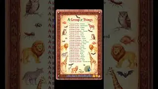 Group of things (collective nouns)#all #trending #english #vocabulary #useful #shorts #tgtpgt #reels