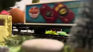 Состав из европейских вагонов/A train of europeans wagens