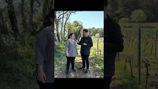 Rencontre avec le Domaine L'Abbé Dîne – Châteauneuf-du-Pape