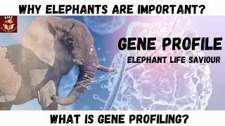 Gene Profiling Captive Elephant | UPSC | Prelims | IAS exam