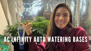 Why My pH Keeps Rising With AC Infinity Self-Watering Buckets