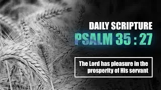 PSALM 35:27 - The Lord has pleasure in the prosperity of His servant #Shorts