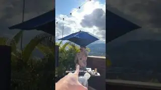 Medell&iacute;n pool party