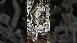 Метки ГРМ на двигателе 1UR-FE. LC202 4.6
