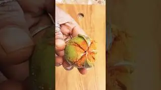 Mini spicy guava 🍐 miniature Cooking Videos #shorts #trending #miniature #spicy #guava
