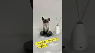 🎥 Watch the journey: from clay to a personalized pet urn that keeps memories eternal. #cat #memory
