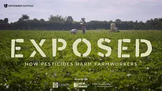 Exposed: An Investigation Into How Pesticides Harm Farmworkers