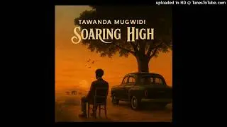 Tawanda Mugwidi-Home this summer (Official Audio)