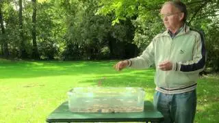 Stones Of Remembrance