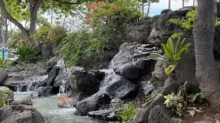 hawaii.mov